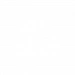 13_raum-empreendimentos.png